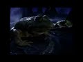 BUDWEISER: Frogs (Super Bowl) (Best Beer Ads of All Time)