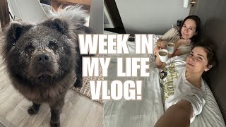 WEEK IN MY LIFE | clean my fridge w/ me, thrifting, hotel girls night, snow storm, and life updates!