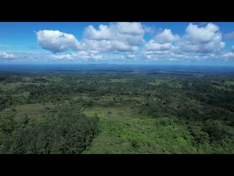 Aluna drone video thumbnail