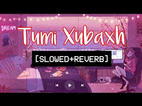 Tumi Xubaxh - (Slowed + Reverb) Sannidhya Bhuyan || Nikhil