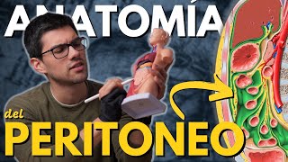 Te Explico el Organo Más ENREDADO del Cuerpo Humano | El Peritoneo
