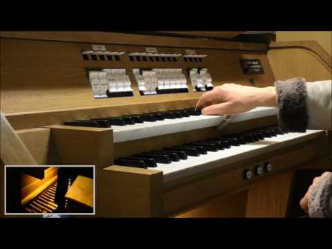 Kirchenorgel Tau aus Himmelshöhn