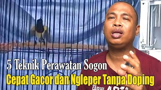 Download lagu HOW TO TREAT A SOUND THAT MAKES A QUICK RUNNING SOUND || DAILY TREATMENT TO STOP SOUNDING AND RUN... mp3