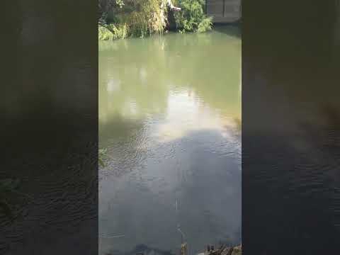 Gaiman, un ratito frente al Río Chubut, Patagonia Argentina 🇦🇷