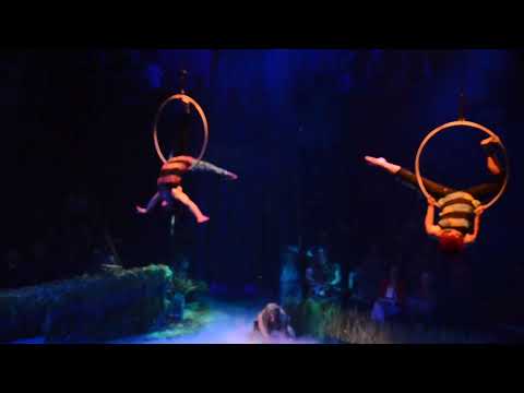 Waiting for This Moment — Tarzan