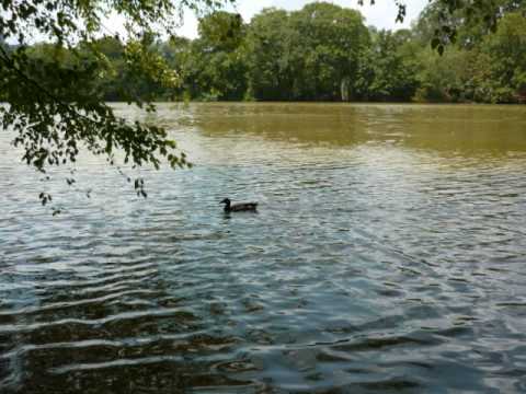 Thumbnail for Stir Up a Hunger video