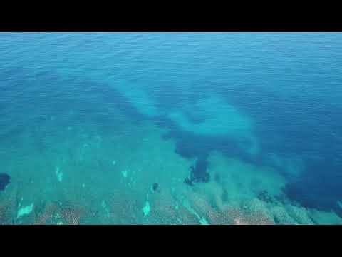 Videos del Sun Club El Dorado 2★ en Llucmajor, EspañaVer MásVerPrecios16CerrarConsulta por Whatsapp 🇦🇷BookingTripadvisorExpediaAgodaTravelocityOrbitzPricelineTripSkyscannerKayakHotelesDestiniaTrivagoAlmundoLastminuteTui