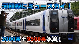 河和線90周年記念列車（ミュースカイ＋9500系）河和駅入線