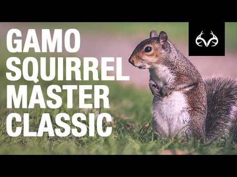 2018 Gamo Squirrel Master Classic