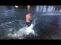 Territorial Swan Goes After Man Swimming ViralHog
