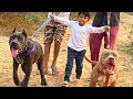 Duke Panther Bhai Ban Gaye