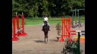 preview picture of video 'Campionati Italiani salto ostacoli Pony Cervia 2013'