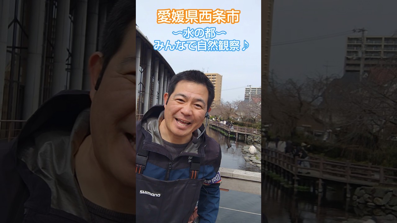 愛媛県西条市、水の都！地域のみなさんと自然観察！きれいな川ですね！加藤英明【公式】かとチャン