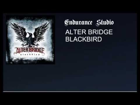 Endurance Studio: Alter Bridge Blackbird (Amplitube)
