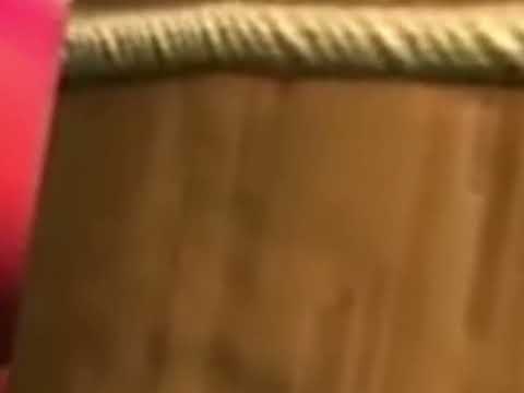 Egg dog legit 360 😳💀😱😏🥴😱😱 (smirk)