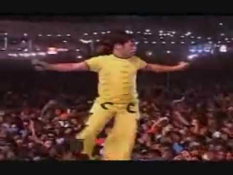 Cachorro dentro video