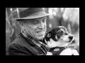 Freedy Johnston - Love Grows