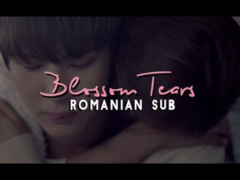 LYn (린) X LEO (레오) – Blossom Tears (꽃잎놀이) • [ Romanian Sub | Han | Rom ]
