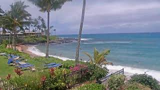 LIVE Napili Sunset Beachfront Resort | 4K Maui Live Cam | Maui Beachfront View