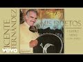 Vicente Fernández - Cuatro Vidas (Remasterizado [Cover Audio])
