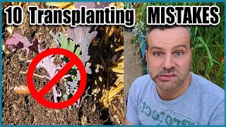 How to Transplant Seedlings Into the Garden - 10 MISTAKES to Avoid