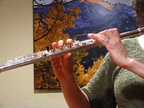 Di Zhao 700 DZ 700 - Low to Mid Register