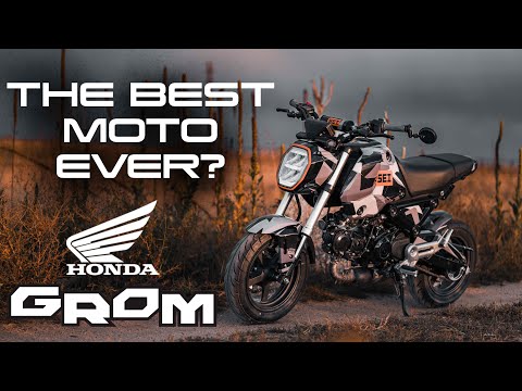THE BEST MOTORCYCLE EVER MADE? | 10 Years of the Honda Grom...