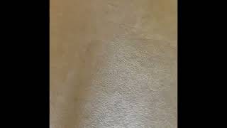 Lake Jackson, TX pet stain carpet cleaning