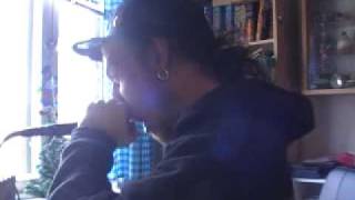 Soulfly - Defeat U vocal cover.