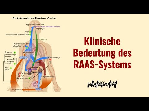 ACE-Hemmer, AT1-Rezeptor-Antagonisten & Betablocker einfach erklärt! - Bedeutung von Sars-Cov 1 & 2