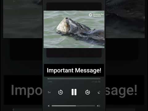 YouTube video
