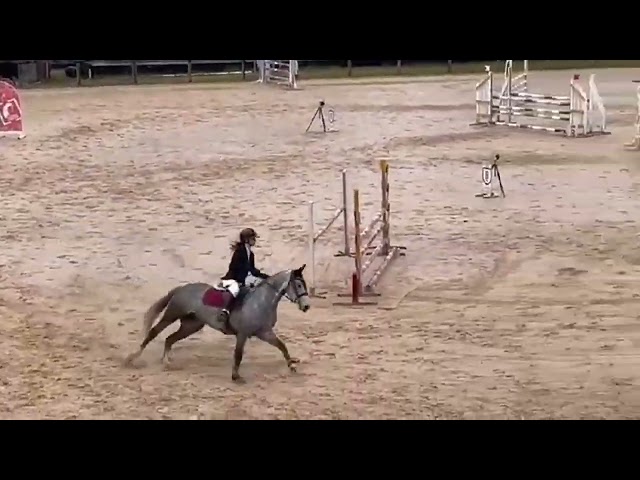 GEMME D'HURL'VENT - 9 ans - Hors taille