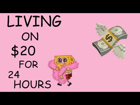 LIVING ON $20 FOR 24 HOURS | FlowerPlays