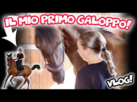 ⭐️ VLOG  : IL MIO PRIMO GALOPPO CON IL MIO NUOVO BIMBO ❤️❤️❤️ VI PRESENTO EXQUICITO!