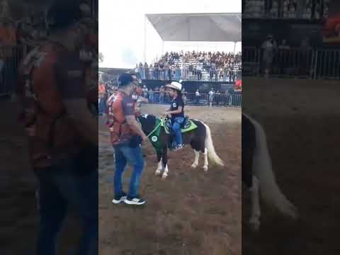 São Sebastião da Bela Vista/2025