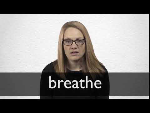 BREATHE definition and meaning