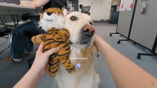 Project Astra Future of AI Assistants-Will It Beat GPT-4o(onmi)