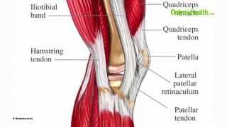 Best Exercise for Knee Arthritis