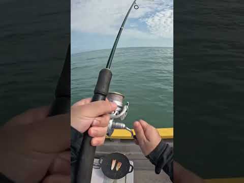 Unbelievable Catch! 🎣 Real Fishing Adventure 2025  #fishing #fish #shortsvideo