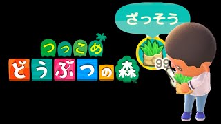 梨はもうナッシング！とか草すら生えない【あつまれ どうぶつの森】＃０２