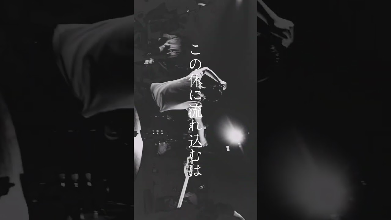 いまから知っておくべきバンド南無阿部陀仏です『オーロラロック』#南無阿部陀仏 #band #邦ロック #music