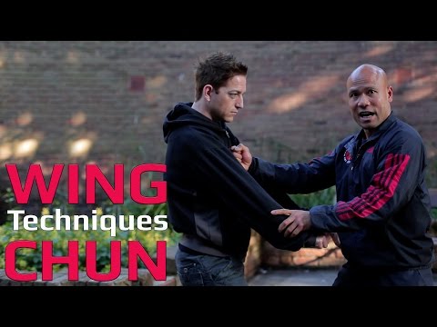 Wing Chun techniques wing chun kung fu - Grab and chain punch