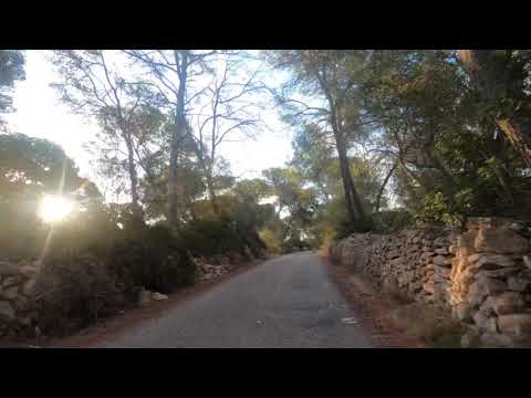 Ses Bruixes. Algaida