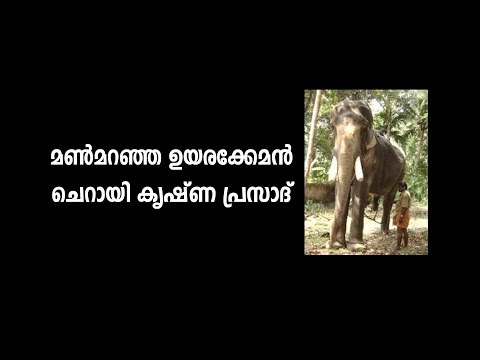 Aanatthaara... ആനത്താര...Cherai Krishnaprasad...ചെറായി കൃഷ്ണപ്രസാദ്‌