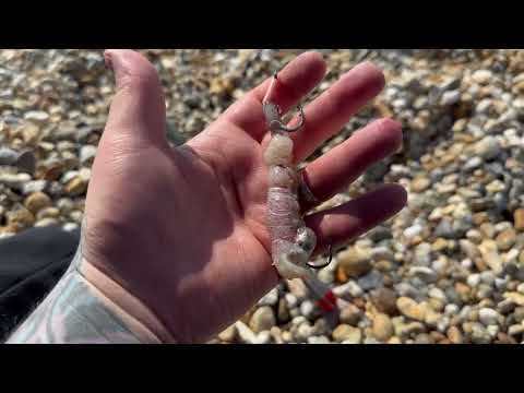 SEA FISHING UK 2023 - Selsey east beach on a very hot day!