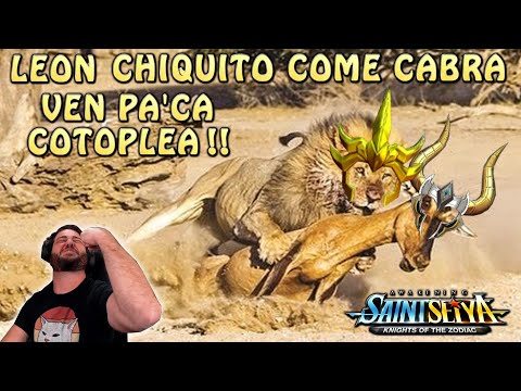 LEON O CABRA?! REGULUS Vs. SHURA DIVINO 1v1!! Saint Seiya Awakening KOTZ