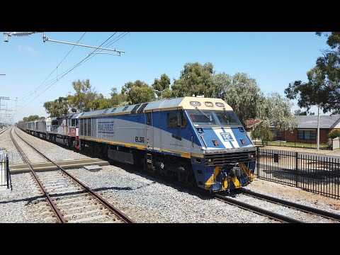 EL56 + SCT006 + EL55 + EL62 + EL60