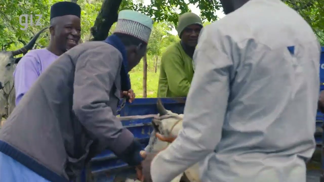 #ProPFR/GIZ : #modèle #Nexus, source de création d’emploi agropastoral