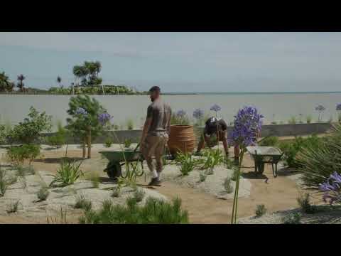 Garden Design • Coastal Garden