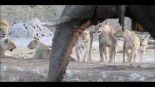 "Out of Africa" - Theme by John Barry